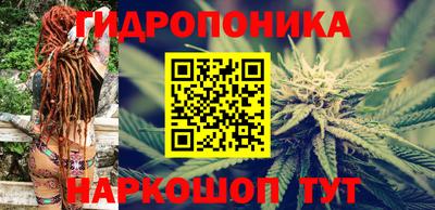 скорость Кинель