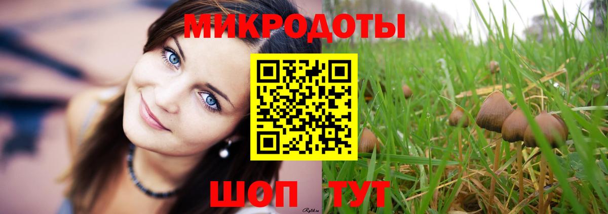Псилоцибиновые грибы Psilocybe Кинель